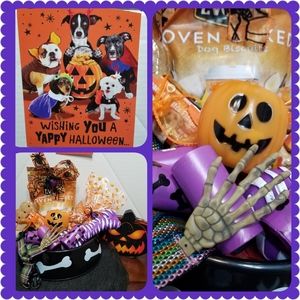 Halloween Boo Gift for Dogs